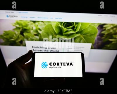 Person, die Smartphone mit dem Logo des US-Agrarchemikalienunternehmens Corteva Inc. Auf dem Bildschirm vor der Website hält. Konzentrieren Sie sich auf die Telefonanzeige. Stockfoto