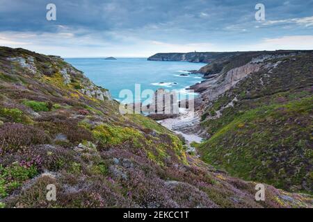 Zerklüftete Küste am Cap Frehel, Bretagne bei Sonnenuntergang an einem bewölkten Abend. Heide in voller Blüte. Meereslandschaft. Stockfoto