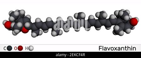 Flavoxanthin-Molekül. Es ist Xanthophyll Gold-gelbe Farbe Pigment, Lebensmittelzusatz, E161a. Molekularmodell. 3D Rendern. 3D Abbildung Stockfoto