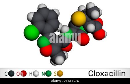 Cloxacillin-Molekül. Es ist antibakteriell Medikament, semi-synthetische Beta-Lactamase resistent Penicillin Antibiotikum. Molekularmodell. 3D Rendern. 3D Abb. Stockfoto