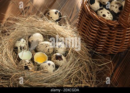 Mehrere Wachteleier in einem dekorativen Nest aus Stroh und in einem Korb auf einem Holztisch Nahaufnahme. Stockfoto