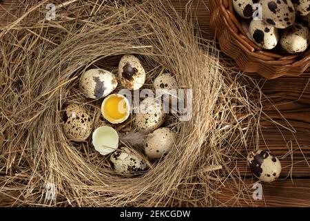 Mehrere Wachteleier in einem dekorativen Nest aus Stroh und in einem Korb auf einem Holztisch Nahaufnahme, flachlegen. Stockfoto