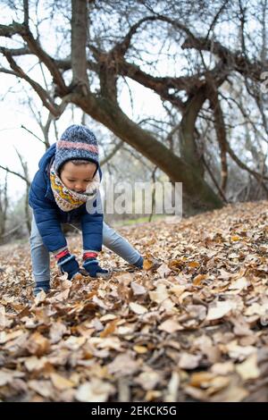 Niedlicher Junge in warmer Kleidung, der auf Herbstblättern im Wald steht Stockfoto
