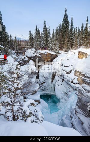 Athabasca Falls im Winter, Jasper Nationalpark, Alberta, Kanada Stockfoto