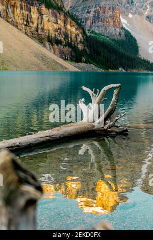 Banff National Park im wunderschönen Alberta, Kanada. Atemberaubende Aussicht auf die kanadischen Felsen am Moraine Lake und entlang des Icefields Parkway. Stockfoto