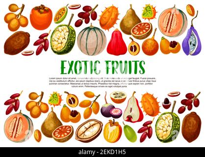 Exotische Früchte, tropische Beeren Zweige Vektor-Banner mit Rand der vegetarischen Nahrung. Feige, Cantaloupe und Kiwano, Persimmon, Granadilla und akebia, m Stock Vektor