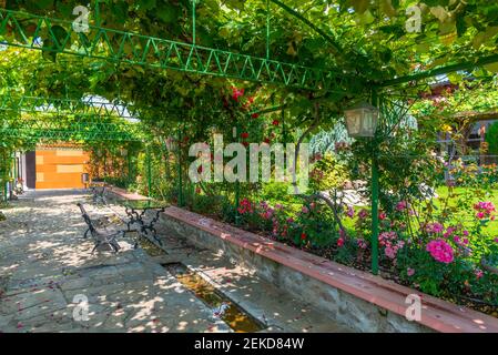 Bänke und Tische unter einem Rosentunnel in Bulgarien Stockfoto