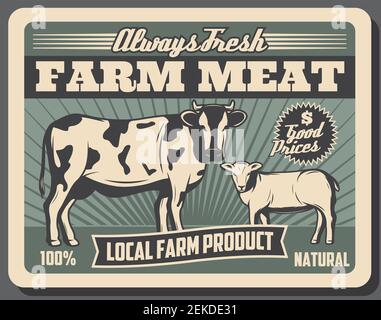 Bauernhof Fleisch, Rindfleisch und Lamm Tiere Lebensmittel Produkte retro Poster von Vieh Landwirtschaft Vektor-Design. Kuh und Schaf, Viehzucht oder Tierzucht Stock Vektor