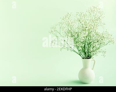 Weiße Gipsophila Blume in Vase auf hellgrünem Hintergrund. Frühlingshafte Komposition mit Copyspace Stockfoto