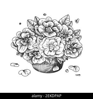 Blumen in einer Vase. Bouquet isoliert auf weißem Hintergrund. Vektorgrafik im Skizzenstil. Stock Vektor