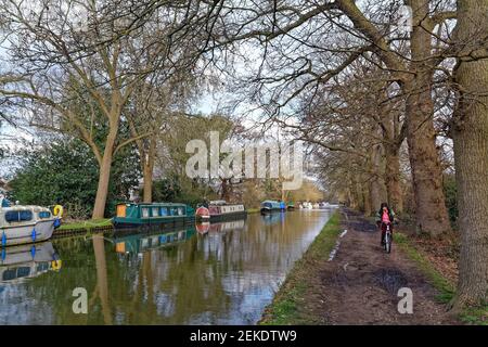 Der Fluss Wey Schifffahrtskanal bei New Haw auf A Winter Tag, Surrey England Großbritannien Stockfoto