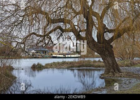 Die Themse bei Laleham erreichen an einem Wintertag, Surrey England Großbritannien Stockfoto