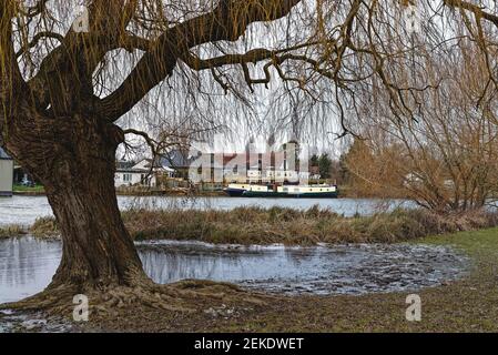 Die Themse bei Laleham erreichen an einem Wintertag, Surrey England Großbritannien Stockfoto