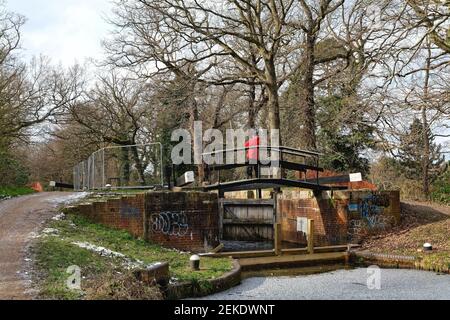 Ein Mann in rotem Mantel auf der Brücke von Bottom Lock fotografiert den Basingstoke Canal in Woodham New Haw an einem kalten Wintertag in Surrey England Stockfoto