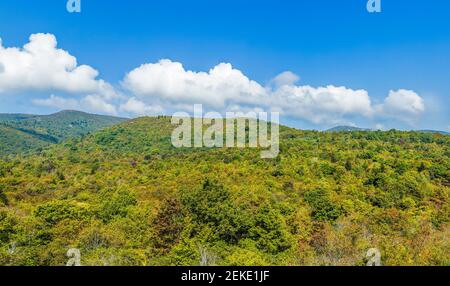 Waldbedeckte ausgedehnte Berglandschaft vom Blue Ridge Parkway in North Carolina, USA aus gesehen Stockfoto