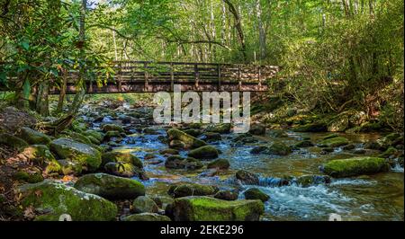 Brücke über Little Pigeon River in der Greenbrier Gegend des Great Smoky Mountains National Park, Tennessee, USA Stockfoto