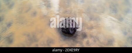 Playa Oberfläche von Wasser bedeckt, Panamint Valley, Death Valley National Park, Kalifornien, USA Stockfoto