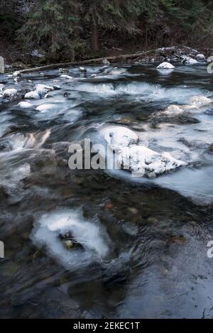 Bear Creek friert im Spätherbst ein, Wallowa Mountains, Oregon. Stockfoto