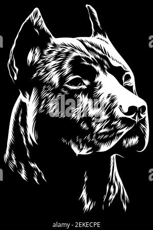 Vector Illustration Wütend pitbull Maskottchen Kopf, auf einem weißen Hintergrund Stock Vektor