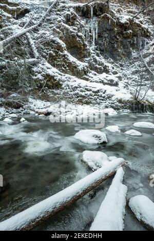 Bear Creek friert im Spätherbst ein, Wallowa Mountains, Oregon. Stockfoto