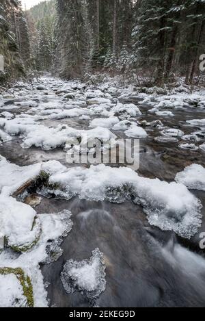 Bear Creek friert im Spätherbst ein, Wallowa Mountains, Oregon. Stockfoto