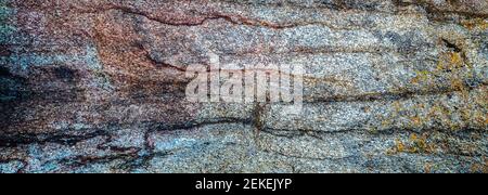 Bunte Flechten auf Felsformation, Alabama Hills, Inyo County, Kalifornien, USA Stockfoto