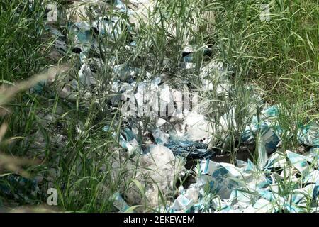 Plastik überläuft den Planeten Erde. Eine riesige Anzahl von Milchpaketen in die Natur geworfen Stockfoto