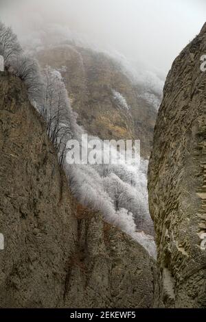 Erdbeobachtung, Zeit vor dem Winter. Der Winter ist von den Bergen zu den Ausläufern herabgestiegen. Frost überzogen Bäume, Sträucher und Gräser, gefrorene Gewässer Stockfoto