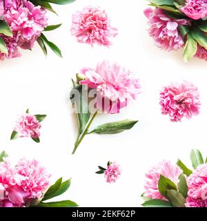 Nahtloses Muster aus rosa Pfingstrosen-Blüten, isoliert auf Weiß. Blüht frisches Sommerbukett. Stockfoto