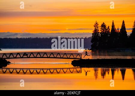 Port Blakely Bridge bei Sonnenaufgang, Bainbridge Island, Washington, USA Stockfoto