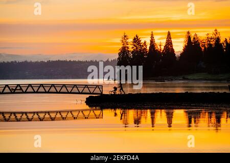 Port Blakely Bridge bei Sonnenaufgang, Bainbridge Island, Washington, USA Stockfoto