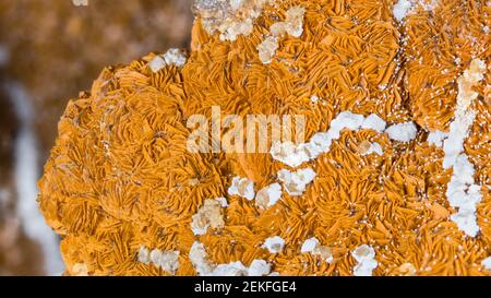 Schöne Textur Detail von Aragonit in orange oder weiß mit Cluster von Kristallen. Nahaufnahme von Mineral aus Calciumcarbonat. Sammlerstück. Stockfoto