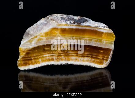 Geschliffener Aragonit-Edelstein mit Spiegelung auf schwarzem Hintergrund. Nahaufnahme des schönen gelb, braun und weiß gestreiften Querschnitts von Mineral. Stockfoto