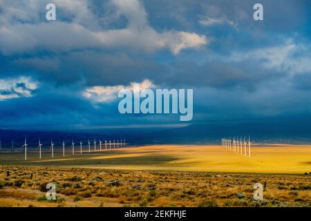 Windturbinen, Great Basin National Park, Nevada, USA Stockfoto
