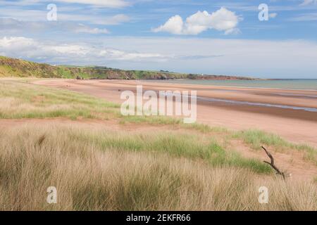 Küstenlandschaft an einem klaren, sonnigen Tag am St Cyrus Beach, Teil des St Cyrus National Nature Reserve an der Küste von Aberdeenshire in Schottland, Großbritannien. Stockfoto