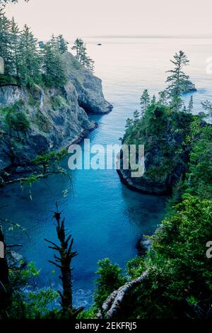 Küste des blauen Meeres, Samuel H. Boardman State Park, Brookings, Oregon, USA Stockfoto