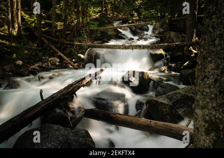 Wasserfälle im Fluss Cabanes, in Mata de Valencia und im Gerdar-Wald (Nationalpark Aigüestortes und Estany de Sant Maurici, Pyrenäen, Katalonien) Stockfoto