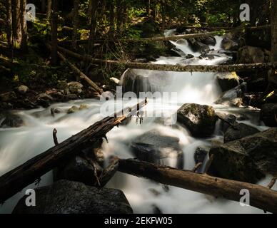 Wasserfälle im Fluss Cabanes, in Mata de Valencia und im Gerdar-Wald (Nationalpark Aigüestortes und Estany de Sant Maurici, Pyrenäen, Katalonien) Stockfoto