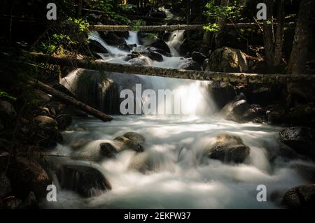 Wasserfälle im Fluss Cabanes, in Mata de Valencia und im Gerdar-Wald (Nationalpark Aigüestortes und Estany de Sant Maurici, Pyrenäen, Katalonien) Stockfoto