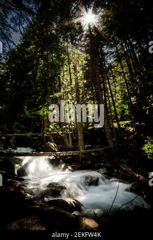 Wasserfälle im Fluss Cabanes, in Mata de Valencia und im Gerdar-Wald (Nationalpark Aigüestortes und Estany de Sant Maurici, Pyrenäen, Katalonien) Stockfoto