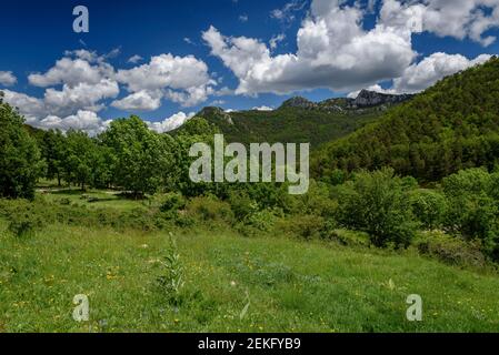 Catllaràs Aussicht von der Falgars-Wallfahrtskirche im Frühling (Berguedà, Katalonien, Spanien, Pyrenäen) Stockfoto