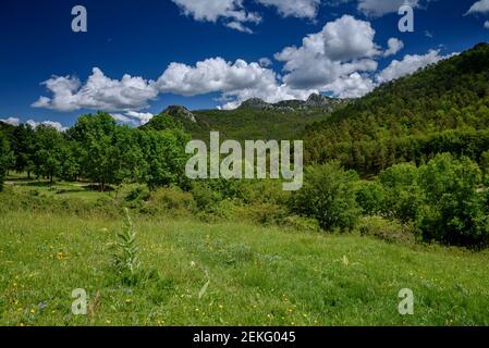 Catllaràs Aussicht von der Falgars-Wallfahrtskirche im Frühling (Berguedà, Katalonien, Spanien, Pyrenäen) Stockfoto