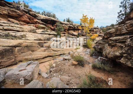 Devil's Canyon Tageswanderung - Springen Sie von der Prekambrian in die Trias und erreichen Sie die Jurassic. Stockfoto