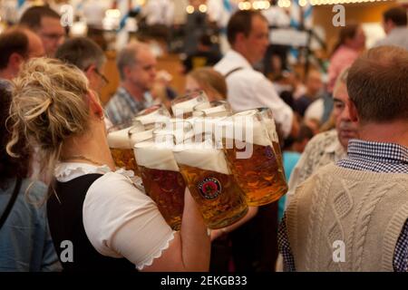 Nahaufnahme des Bieres, das Kellnerin auf dem Oktoberfest auf der Theresienwiese serviert. Stockfoto