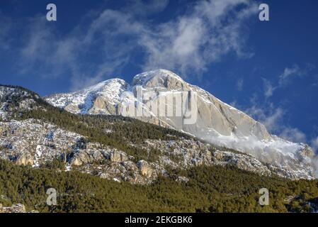 Pedraforca Südwand nach Schneefall im Winter (Provinz Barcelona, Katalonien, Spanien, Pyrenäen) ESP: Cara sur del Pollegó inferior del Pedraforca Stockfoto