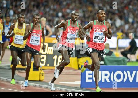 Die kenianischen Athleten Gabriel Muchiri, Geoffrey Kamworor, Paul Kipngetich Tanui (Bronzemedaille). 10000 Meter Männer - IAAF World Championships London 2017 Stockfoto