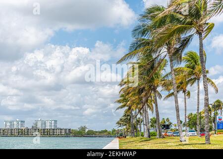Bal Harbour, USA - 8. Mai 2018: Breite Causeway-Straße mit Miami Beach Florida Stadtbild und grünen Ozean Biscayne Bay und Reihe von Palmen von Chevron g Stockfoto
