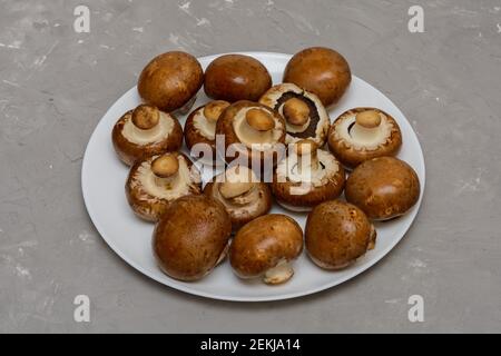 Royal braune Champignons. Frische Pilze auf weißem Teller. Grauer, betongrauer Hintergrund. Stockfoto