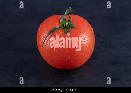 Eine frische Tomate mit Wassertröpfchen auf dunklem Hintergrund Stockfoto