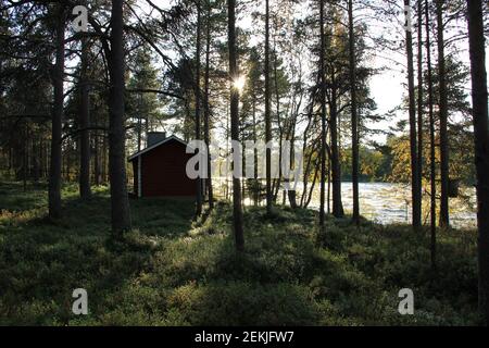 Haus im Wald Stockfoto